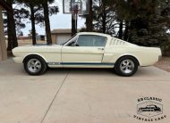 1966 Shelby Mustang GT 350 Tribute