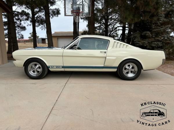1966 Shelby Mustang GT 350 Tribute