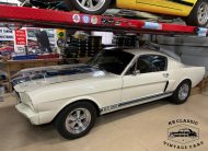 1966 Shelby Mustang GT 350 Tribute
